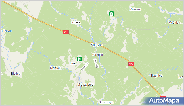 mapa Cierniki, Cierniki na mapie Targeo