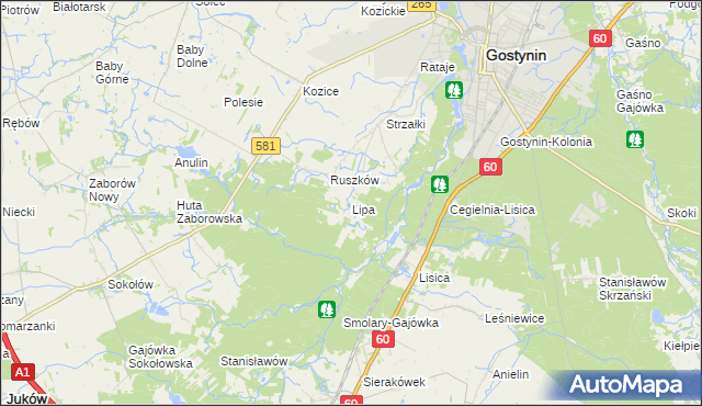 mapa Lipa gmina Gostynin, Lipa gmina Gostynin na mapie Targeo