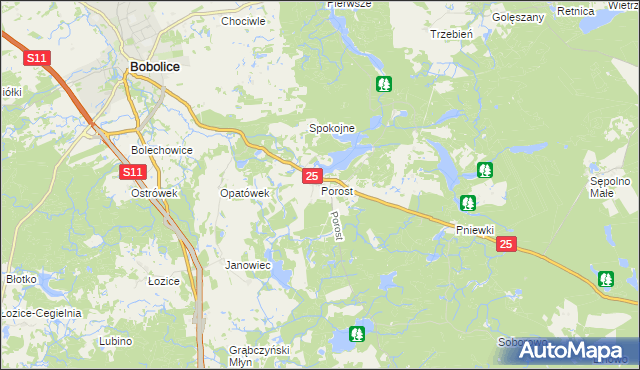 mapa Porost, Porost na mapie Targeo
