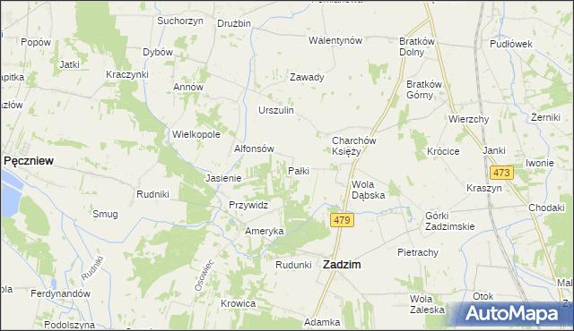 mapa Pałki gmina Zadzim, Pałki gmina Zadzim na mapie Targeo