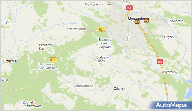 mapa Białusny Lasek, Białusny Lasek na mapie Targeo