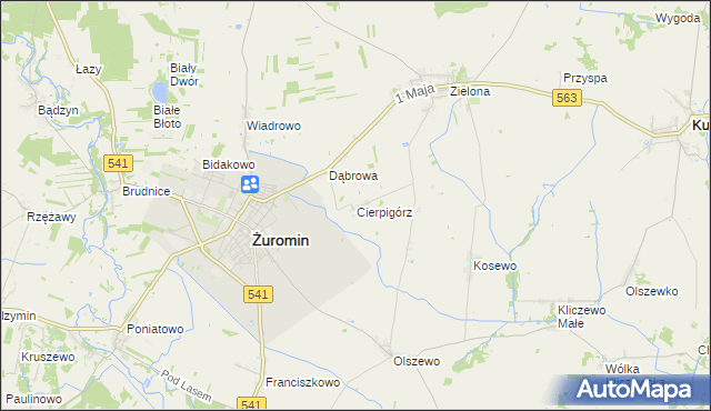 mapa Cierpigórz gmina Żuromin, Cierpigórz gmina Żuromin na mapie Targeo