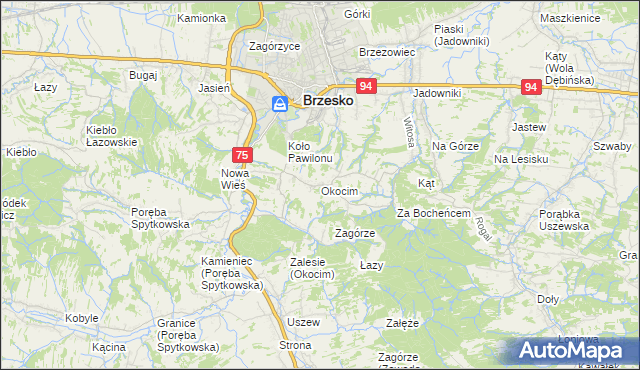 mapa Okocim, Okocim na mapie Targeo