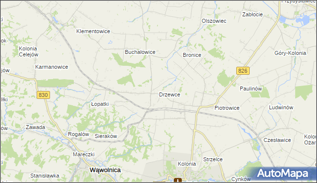 mapa Drzewce gmina Nałęczów, Drzewce gmina Nałęczów na mapie Targeo
