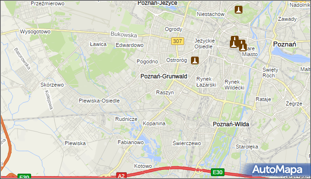 mapa Raszyn gmina Poznań, Raszyn gmina Poznań na mapie Targeo