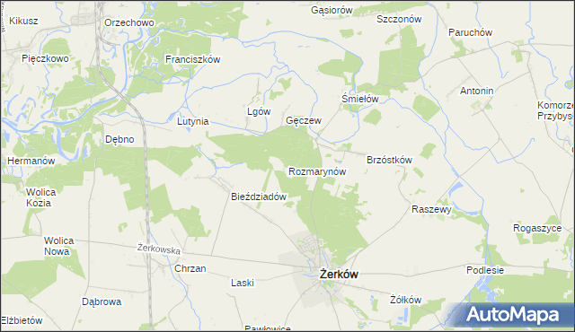 mapa Rozmarynów, Rozmarynów na mapie Targeo