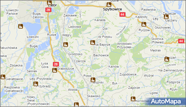 mapa Bachowice, Bachowice na mapie Targeo