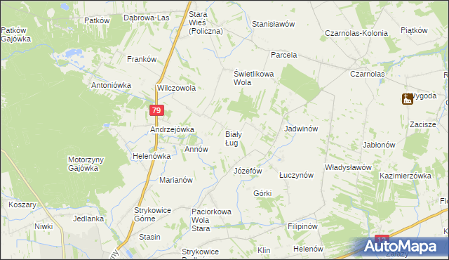 mapa Biały Ług gmina Policzna, Biały Ług gmina Policzna na mapie Targeo