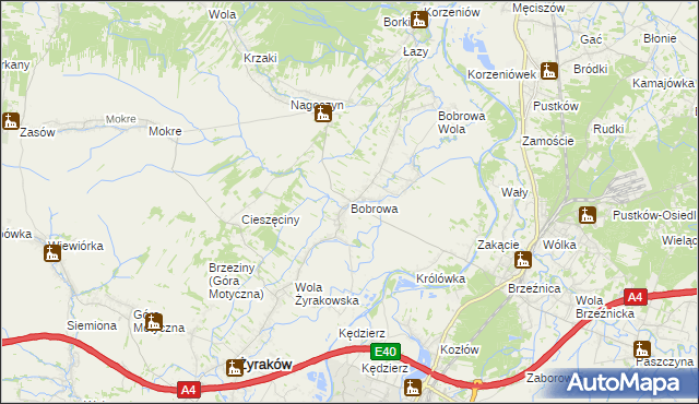 mapa Bobrowa gmina Żyraków, Bobrowa gmina Żyraków na mapie Targeo