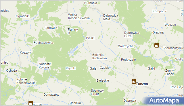 mapa Bokinka Królewska, Bokinka Królewska na mapie Targeo