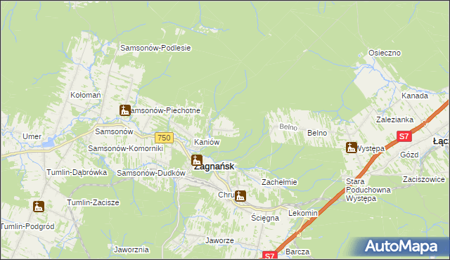 mapa Borowa Góra gmina Zagnańsk, Borowa Góra gmina Zagnańsk na mapie Targeo