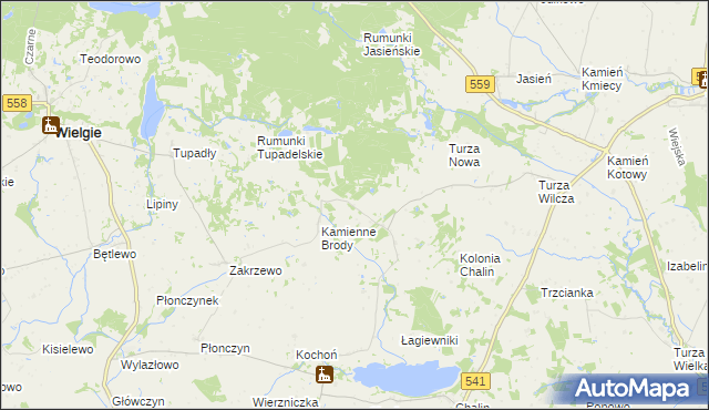 mapa Borowo gmina Tłuchowo, Borowo gmina Tłuchowo na mapie Targeo