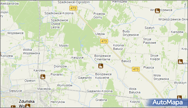 mapa Borszewice Cmentarne, Borszewice Cmentarne na mapie Targeo