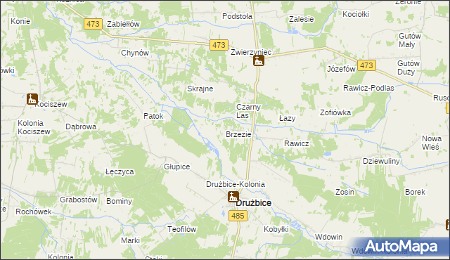 mapa Brzezie gmina Drużbice, Brzezie gmina Drużbice na mapie Targeo