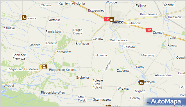mapa Bukowina gmina Błaszki, Bukowina gmina Błaszki na mapie Targeo