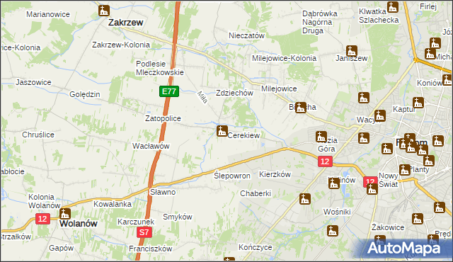mapa Cerekiew gmina Zakrzew, Cerekiew gmina Zakrzew na mapie Targeo