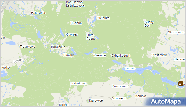 mapa Czernice gmina Murowana Goślina, Czernice gmina Murowana Goślina na mapie Targeo