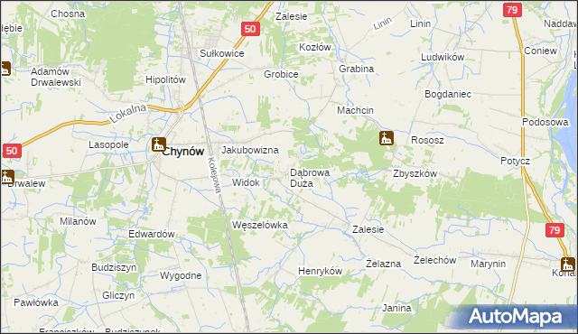 mapa Dąbrowa Duża gmina Chynów, Dąbrowa Duża gmina Chynów na mapie Targeo