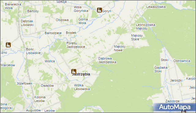 mapa Dąbrowa Jastrzębska, Dąbrowa Jastrzębska na mapie Targeo