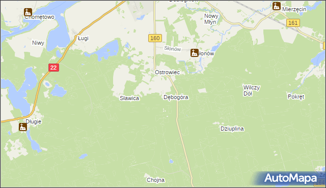 mapa Dębogóra gmina Dobiegniew, Dębogóra gmina Dobiegniew na mapie Targeo