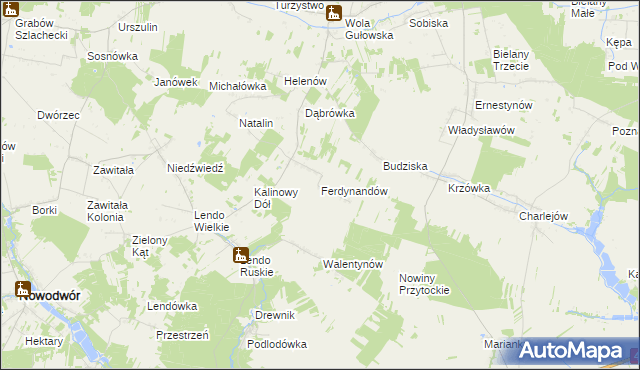 mapa Ferdynandów gmina Adamów, Ferdynandów gmina Adamów na mapie Targeo