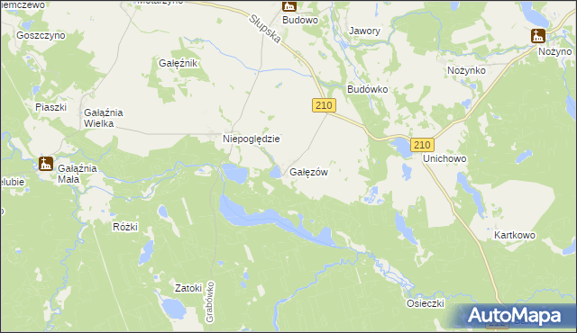 mapa Gałęzów gmina Dębnica Kaszubska, Gałęzów gmina Dębnica Kaszubska na mapie Targeo