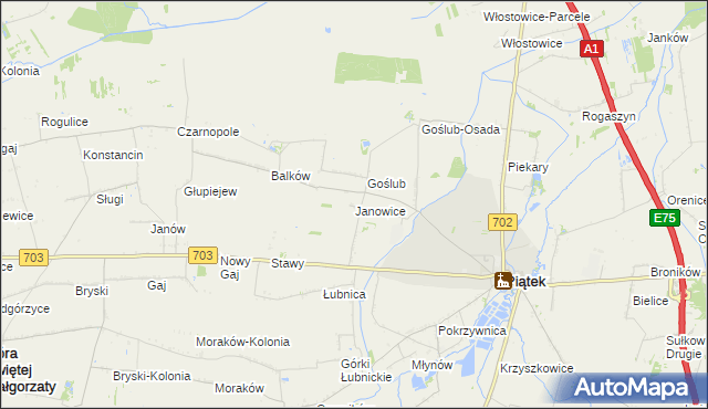 mapa Janowice gmina Piątek, Janowice gmina Piątek na mapie Targeo