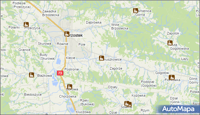 mapa Januszkowice gmina Brzostek, Januszkowice gmina Brzostek na mapie Targeo