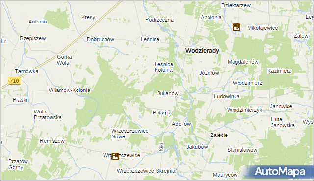 mapa Julianów gmina Wodzierady, Julianów gmina Wodzierady na mapie Targeo