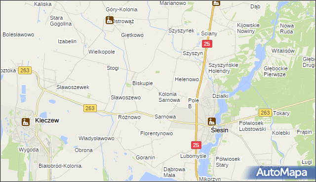 mapa Kolonia Sarnowa, Kolonia Sarnowa na mapie Targeo