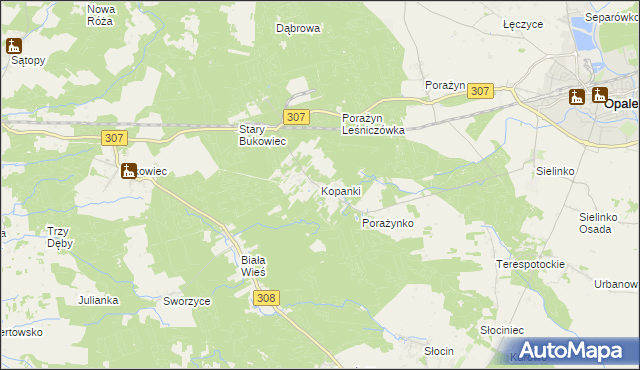 mapa Kopanki gmina Opalenica, Kopanki gmina Opalenica na mapie Targeo