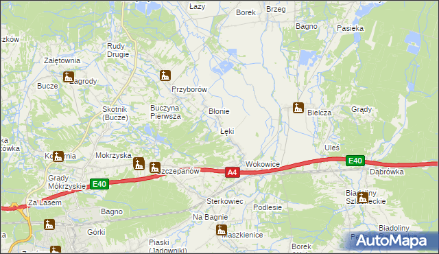 mapa Łęki gmina Borzęcin, Łęki gmina Borzęcin na mapie Targeo