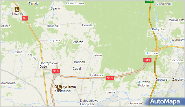 mapa Letniki gmina Dobrzyniewo Duże, Letniki gmina Dobrzyniewo Duże na mapie Targeo