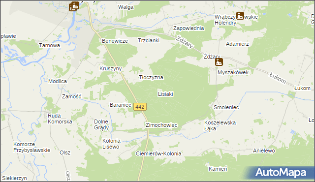 mapa Lisiaki gmina Pyzdry, Lisiaki gmina Pyzdry na mapie Targeo