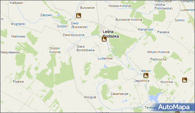 mapa Ludwinów gmina Leśna Podlaska, Ludwinów gmina Leśna Podlaska na mapie Targeo