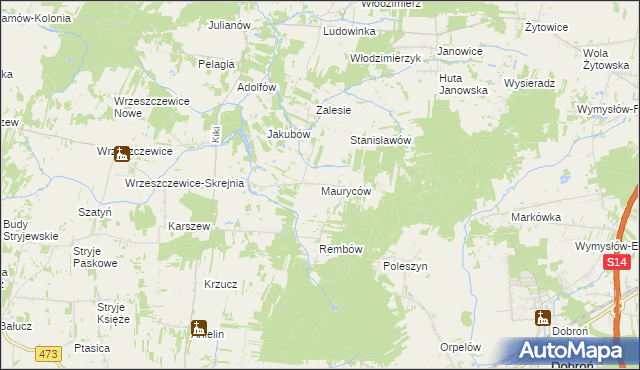 mapa Mauryców gmina Wodzierady, Mauryców gmina Wodzierady na mapie Targeo