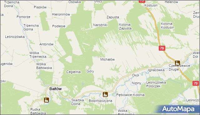 mapa Michałów gmina Bałtów, Michałów gmina Bałtów na mapie Targeo