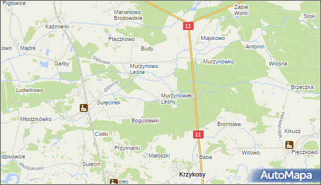 mapa Murzynowiec Leśny, Murzynowiec Leśny na mapie Targeo
