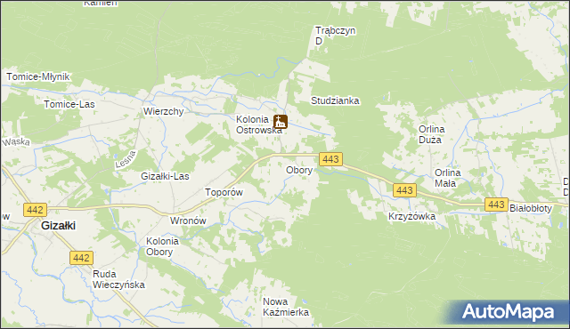 mapa Obory gmina Gizałki, Obory gmina Gizałki na mapie Targeo