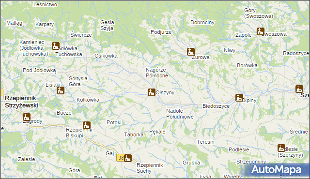 mapa Olszyny gmina Rzepiennik Strzyżewski, Olszyny gmina Rzepiennik Strzyżewski na mapie Targeo