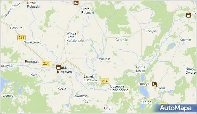 mapa Pałubin, Pałubin na mapie Targeo