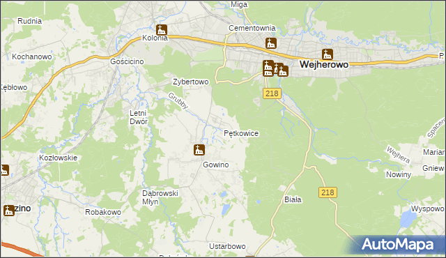 mapa Pętkowice gmina Wejherowo, Pętkowice gmina Wejherowo na mapie Targeo