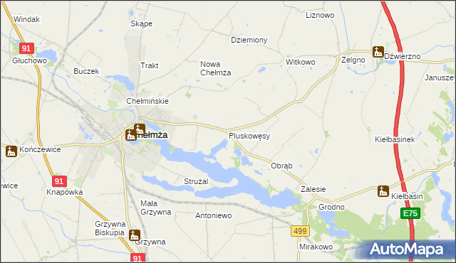 mapa Pluskowęsy gmina Chełmża, Pluskowęsy gmina Chełmża na mapie Targeo