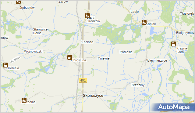 mapa Pniewie gmina Skoroszyce, Pniewie gmina Skoroszyce na mapie Targeo