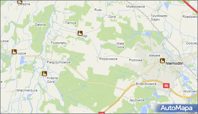 mapa Roszkowice gmina Niemodlin, Roszkowice gmina Niemodlin na mapie Targeo