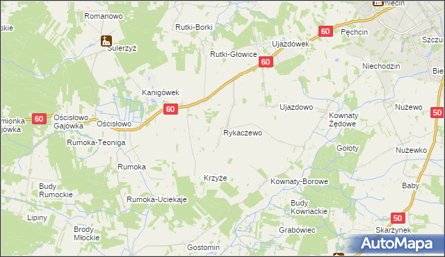 mapa Rykaczewo gmina Ciechanów, Rykaczewo gmina Ciechanów na mapie Targeo