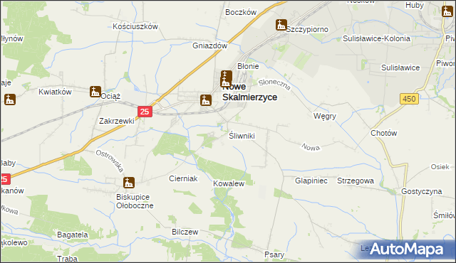 mapa Śliwniki gmina Nowe Skalmierzyce, Śliwniki gmina Nowe Skalmierzyce na mapie Targeo