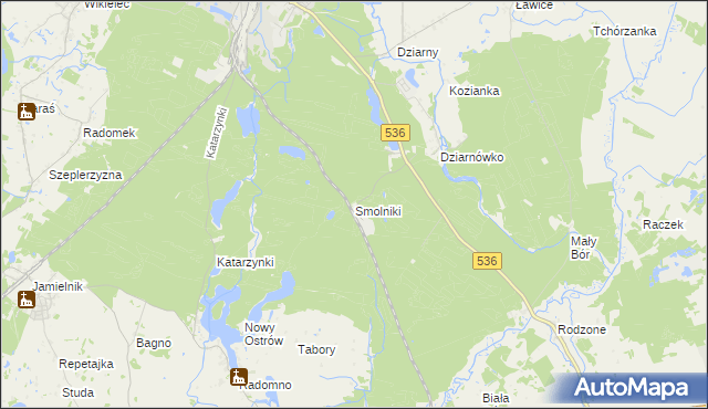 mapa Smolniki gmina Iława, Smolniki gmina Iława na mapie Targeo