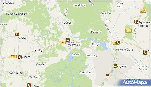 mapa Smyków gmina Przyrów, Smyków gmina Przyrów na mapie Targeo