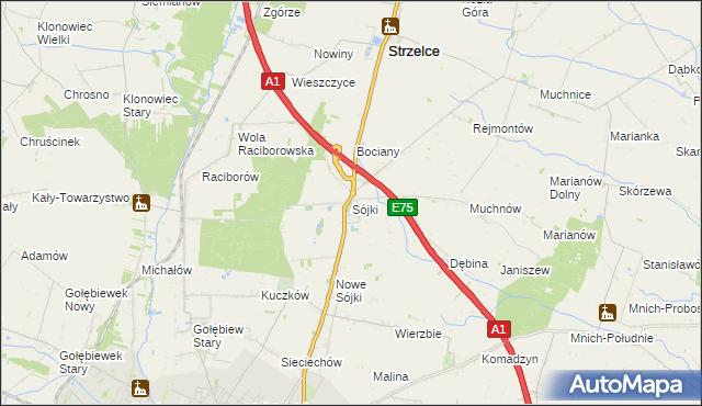 mapa Sójki gmina Strzelce, Sójki gmina Strzelce na mapie Targeo
